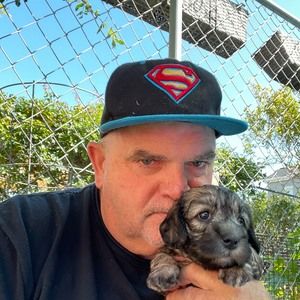 Meet your Posher, Barry